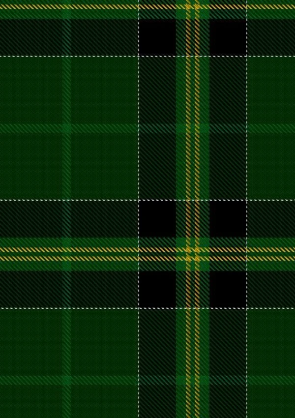 Duffy Tartan Kilt - Image 4