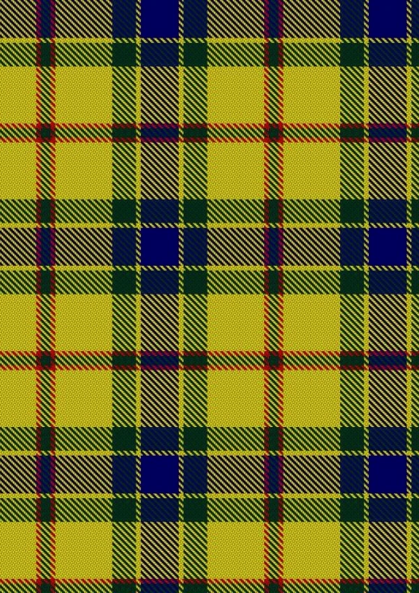 Mccabe Tartan Kilt - Image 4