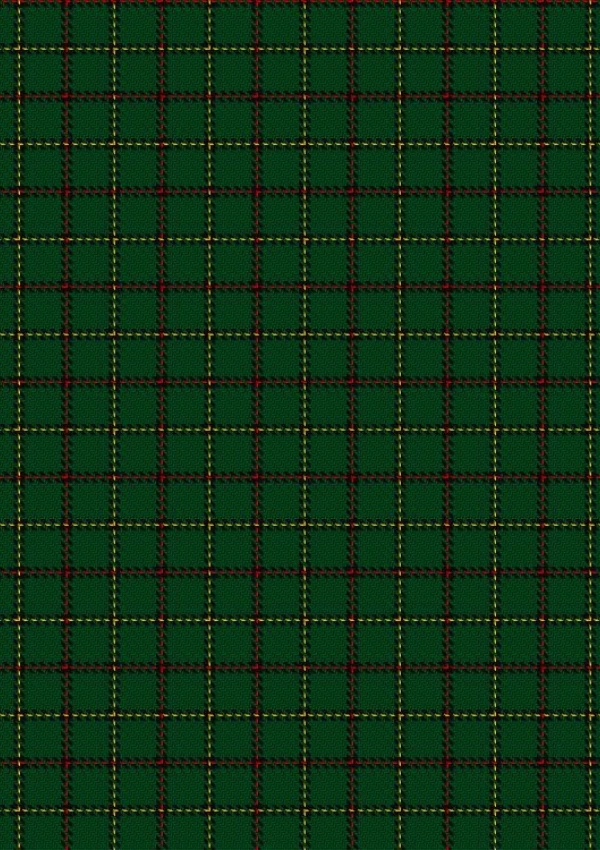 Skene Hunting Tartan Kilt - Image 4